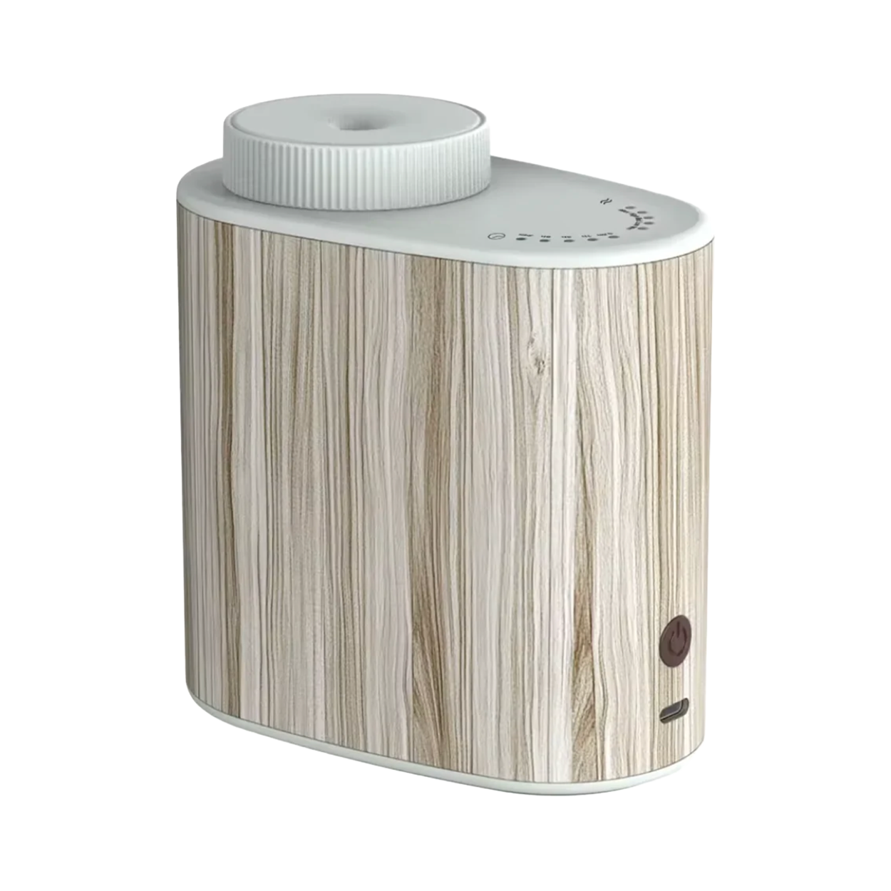 Home Diffuser Driftwoord